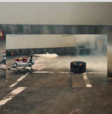 Altezza passo/ostacolo 20 cm Attrezzature anti-sommossa della polizia per le forze dell'ordine